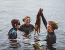 Group of people learning about seaweed.