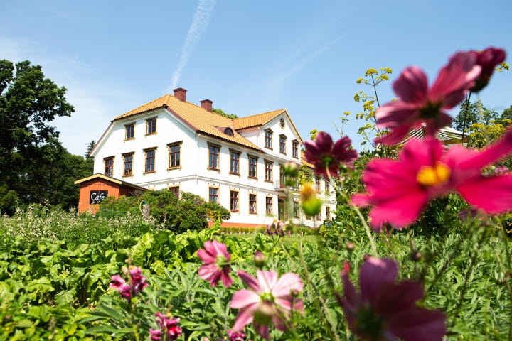 Blick över Årås säteri med blommor