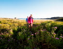 Två personer vandrar över en grön och frodig äng med vilt växande blommor.  Blommorna i förgrunden är lila, i bakgrunden syns havet.