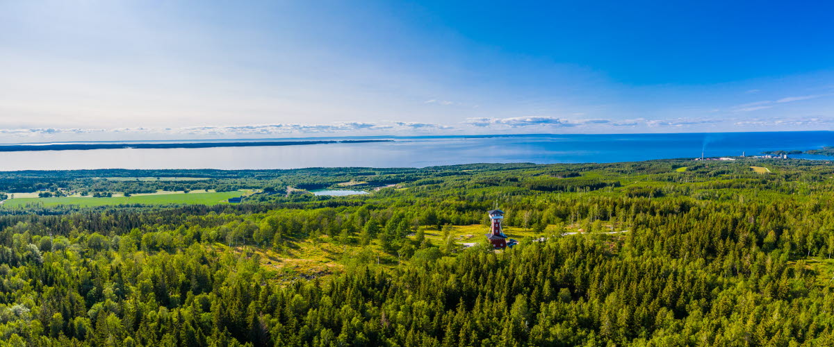 Flygbild över ett grönskande Kinnekulle med Vänern i bakgrunden. Man kan även skymta Kinnekulle utsiktstorn. 