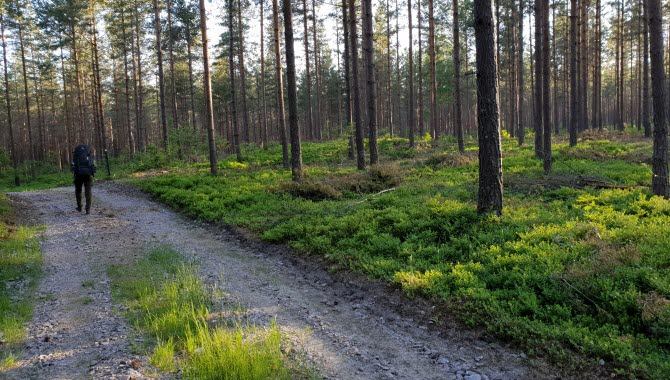 Pilgrimsleden Hjo-Kungslena