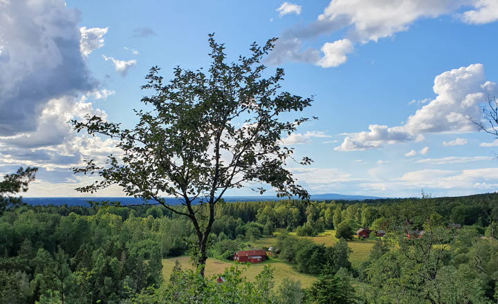 Bild från en utsiktsplats. Det är blå himmel med vita moln. Utsikten visar granskog och ett rött hus.