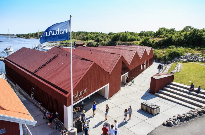 Byggnad som inrymmer naturum Kosterhavet, Framför entrén finns gräsyta och sittplatser och baksidan är mot havet. 