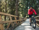 Man cyklar mountainbike på en byggd träbro i skogen. 