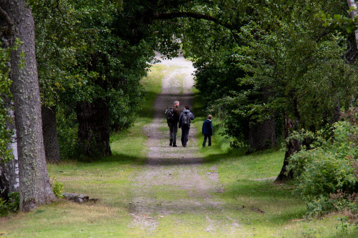 Hike on Baldersnäs