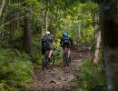 Två män cyklar mountainbike i den gröna skogen.