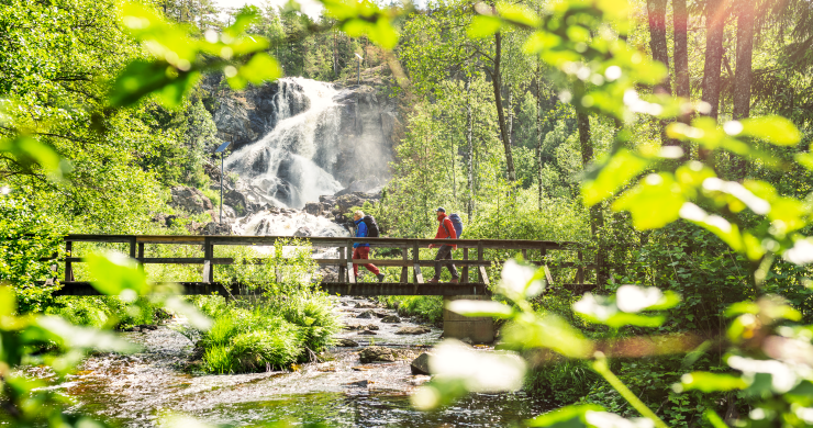 Hikers along Bohusleden