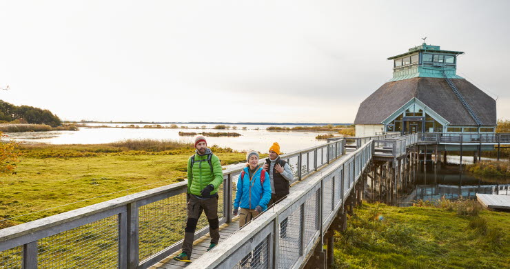 Vandring vid Hornborgasjön