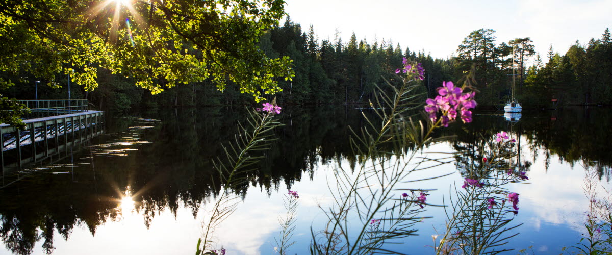 Naturen i Dalsland