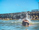 Swimming in southern Bohuslän, dive, Stenungsund