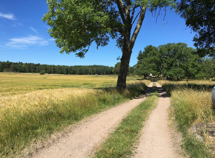 Grusväg mellan fälten på Brommö i Mariestads skärgård.