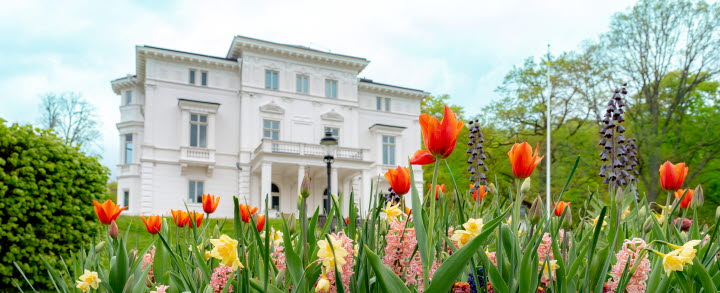 Färgglada blommor i förgrunden och Nolhaga slott i bakgrunden. 