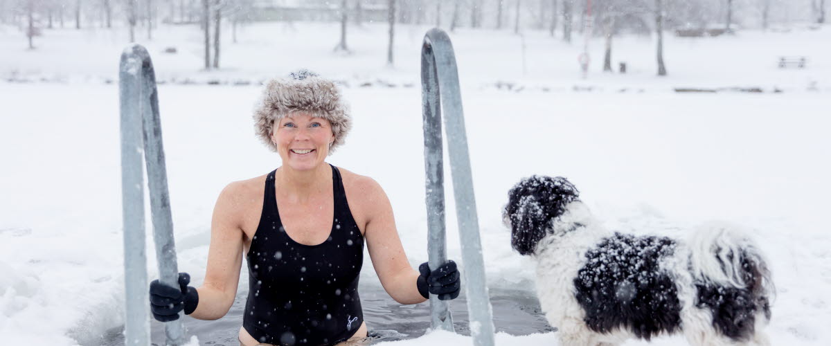 Vinterbadare påväg ned i isvak omgiven av ett snöigt vinterlandskap vid Simsjön i Skövde. 