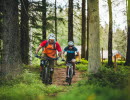 Två män cyklar på mountainbike i skogen