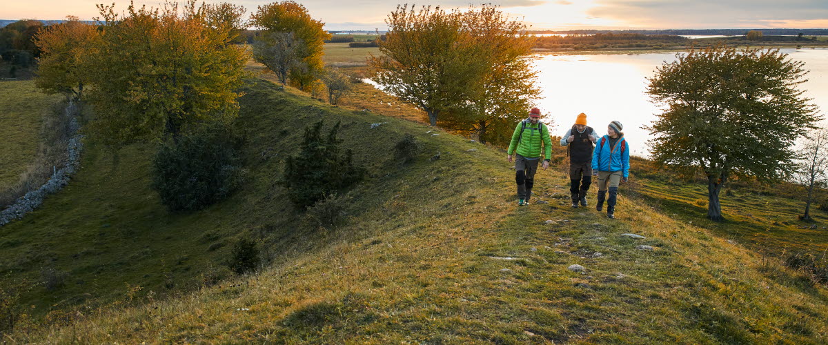 Vandring vid Hornborgasjön