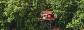 Treehouse hotel