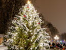 Julgran på Vänersborgs torg med Vänersborgs kyrka i bakgrunden