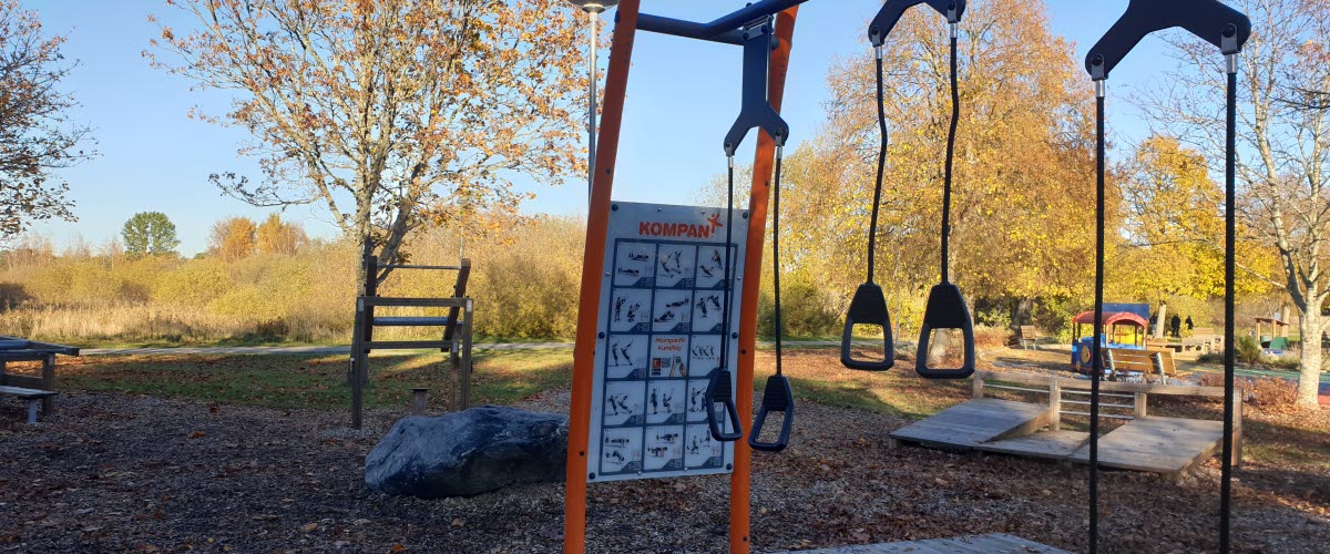 Station at outdoor gym a sunny day in autumn