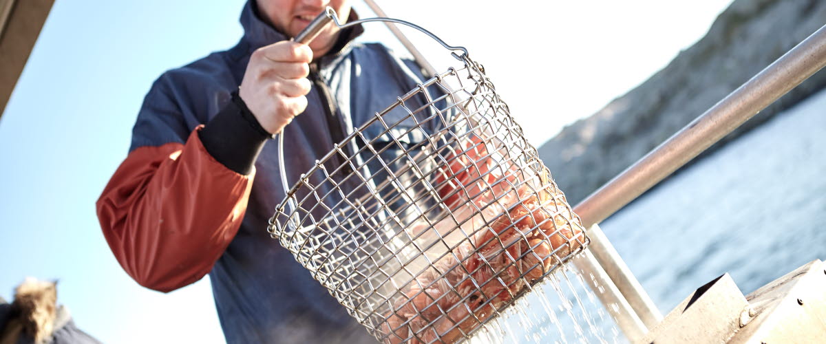 Skipper lifting up basket with freshly cooked crayfish