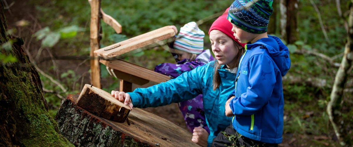 Mamma med två barn utforskar trädets ringar ute i skogen. De har alla mössor och friluftskläder på sig. 