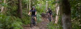 Two men ride MTB on a forest path surrounded by light green nature.