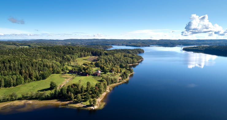 Naturen i Dalsland