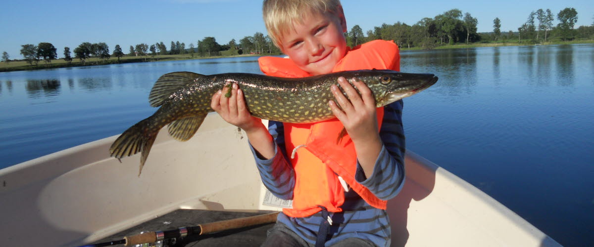 Pojke som sitter i en båt och håller en gädda i händerna.